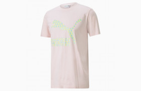 Футболка Summer Luxe Graphic Men' Tee