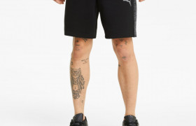 Шорты Evostripe Men' Shorts