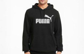 Толстовка Esentials Big Logo Men’s Hoodie