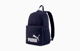 Рюкзак Phase Backpack