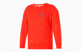 Детская толстовка x TINYCOTTONS Printed Crew Neck Kids' Sweatshirt