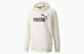 Толстовка Esentials+ Two-Tone Big Logo Men's Hoodie