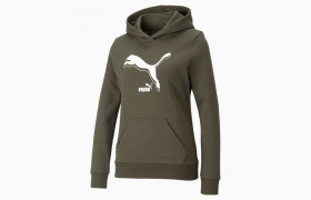 Толстовка POWER Logo Women's Hoodie