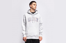 Толстовка капюшоном OBEY Sports Iii Hood ASH GREY 2021