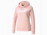 Essentials Logo FL Women's Hoodie недорого