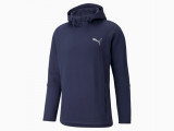 Evostripe Men's Hoodie недорого