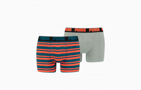 Мужское нижнее белье Heritage Stripe Men' Boxers 2 Pack