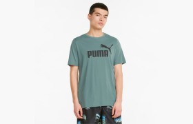 Футболка Esentials Logo Men's Tee