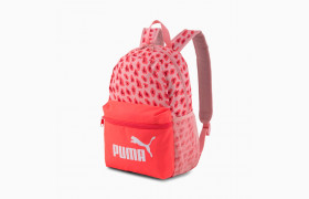 Детский рюкзак Phase Small Youth Backpack