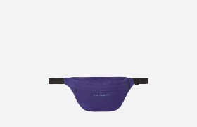 Сумка поясная Payton Hip Bag Razzmic / Icy Water 2022