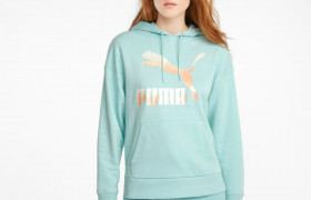 Толстовка Clasics Logo Women's Hoodie