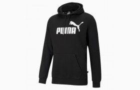 Толстовка Esentials Big Logo Men's Hoodie