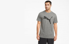 Футболка Favourite Heather Cat Short leeve Men's Training Tee