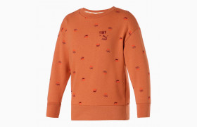 Детская толстовка x TINYCOTTONS Printed Crew Neck Kids' Sweatshirt