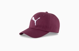 Кепка ESS Cap