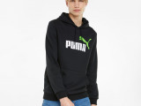 Essentials+ Two-Tone Big Logo Men's Hoodie недорого