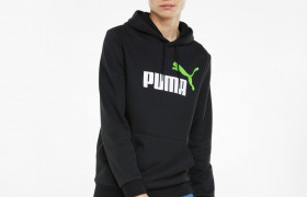 Толстовка Esentials+ Two-Tone Big Logo Men's Hoodie