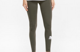 Леггинсы Power Logo Women's Legging