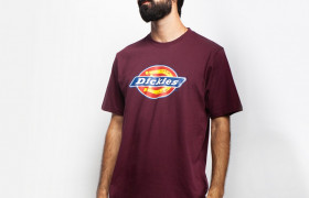 Футболка Icon Logo Tee Maroon 2021