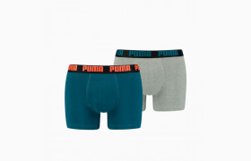 Мужское нижнее белье Basic Boxer 2P